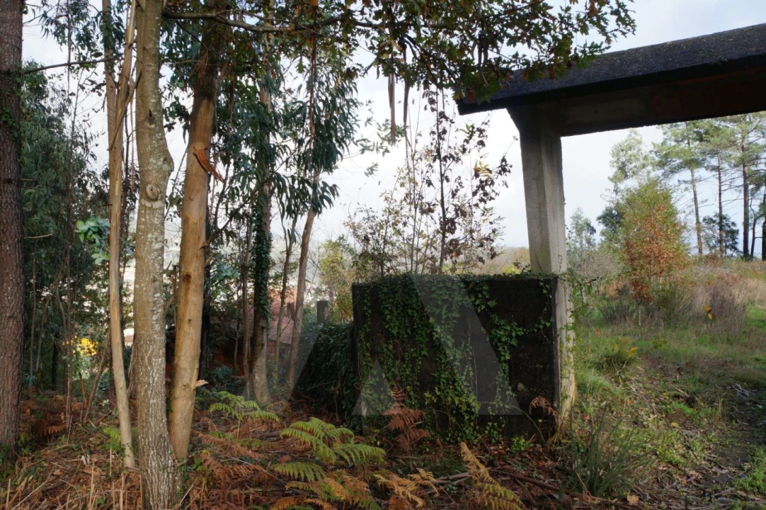 Terreno para Venda em Sever do Vouga Foto 2