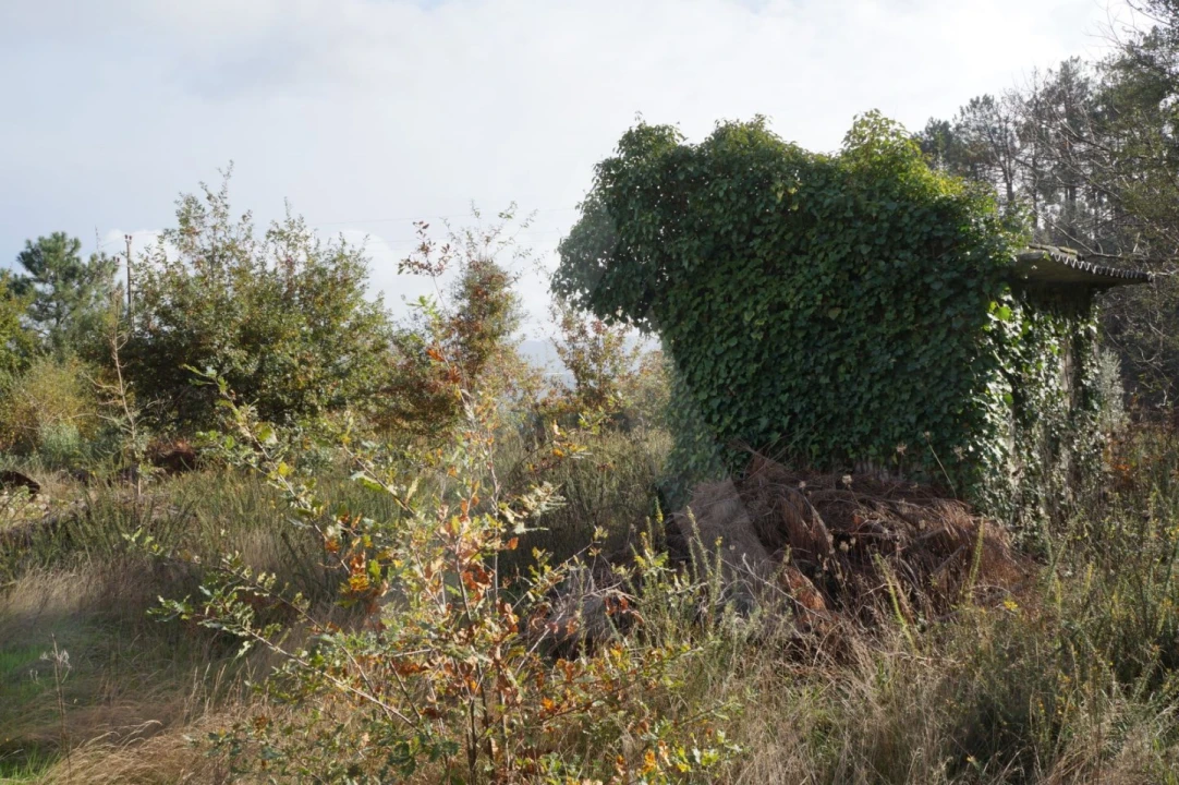 Terreno para Venda em Sever do Vouga Foto 5