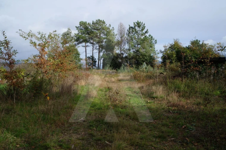 Terreno para Venda em Sever do Vouga Foto 4