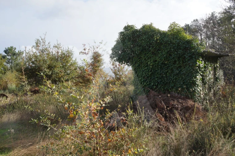 Terreno para Venda em Sever do Vouga Foto 5