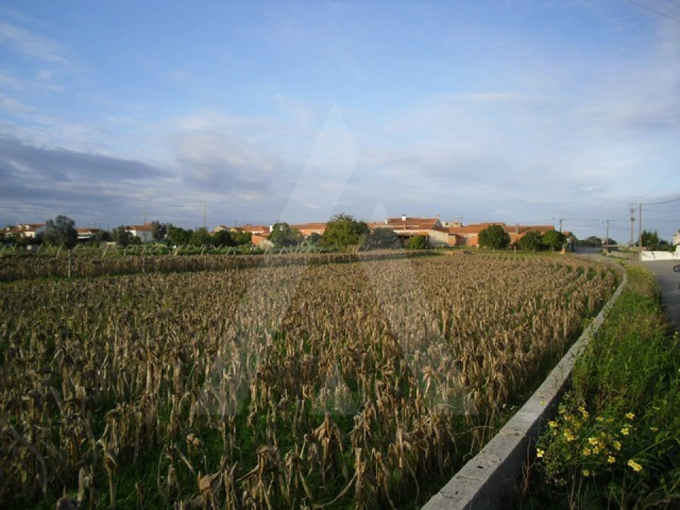 Terreno para Venda em Oliveirinha Foto 1