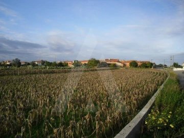 Terreno para Venda em Oliveirinha