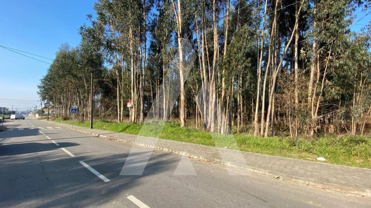 Terreno para Venda em Ovar, São João, Arada e São Vicente de Pereira Jusã Foto 2