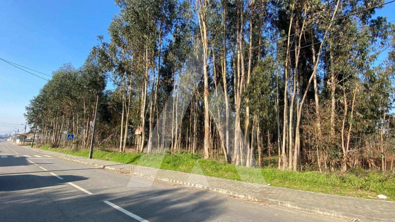 Terreno para Venda em Ovar, São João, Arada e São Vicente de Pereira Jusã Foto 3