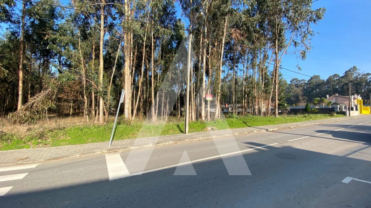 Terreno para Venda em Ovar, São João, Arada e São Vicente de Pereira Jusã Foto 4