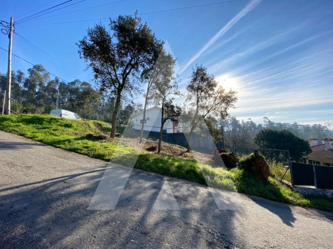 Terreno para Venda em O. Azeméis, Riba-Ul, Ul, Macinhata Seixa, Madail Foto 2