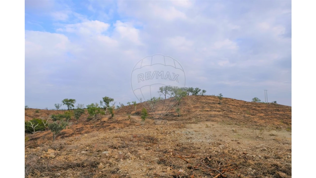 Negócio para Venda em São Martinho das Amoreiras Foto 2