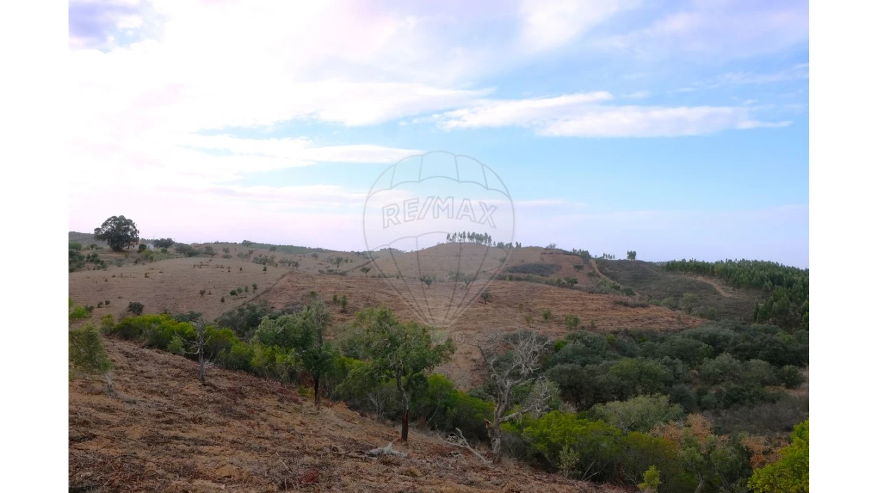 Negócio para Venda em São Martinho das Amoreiras Foto 7