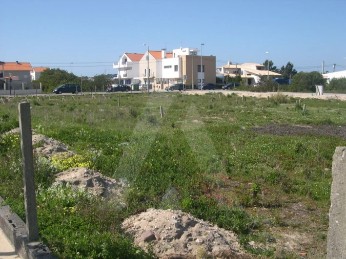 Terreno para Venda em São Jacinto Foto 4