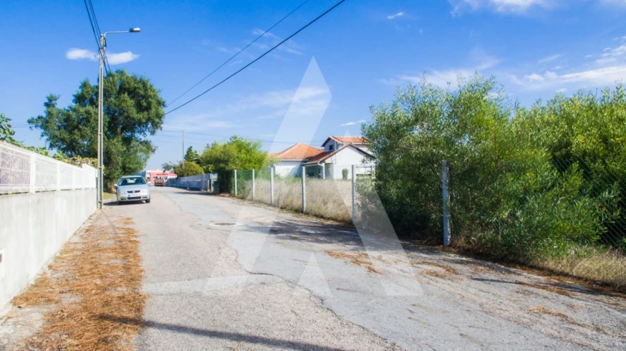 Terreno para Venda em Ovar, São João, Arada e São Vicente de Pereira Jusã Foto 2