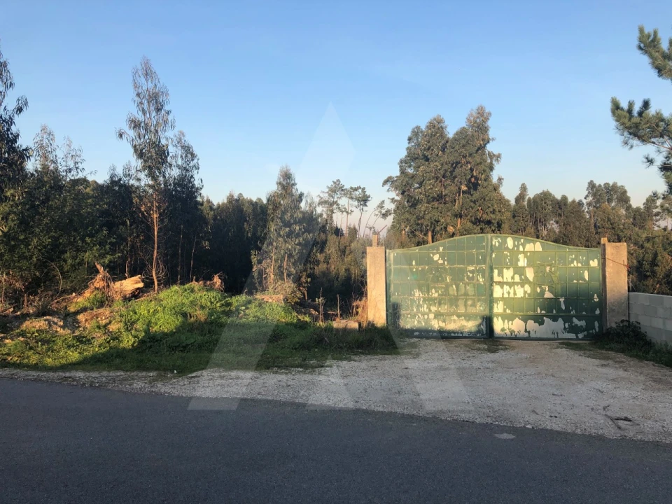 Terreno para Venda em Águeda e Borralha Foto 1