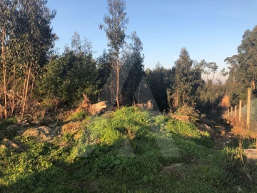 Terreno para Venda em Águeda e Borralha
