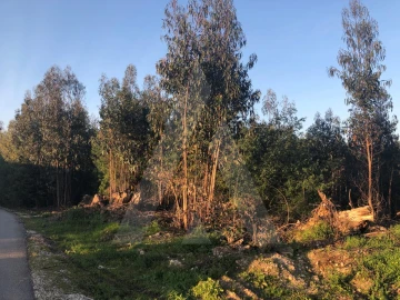 Terreno para Venda em Águeda e Borralha
