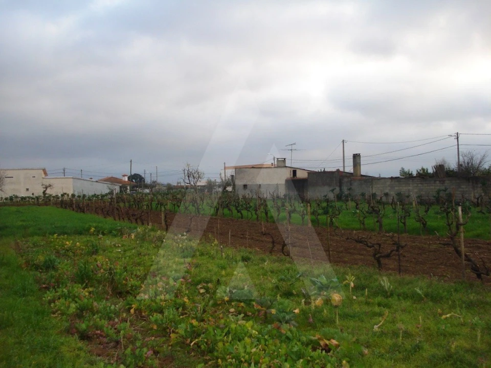 Terreno para Venda em Águeda e Borralha Foto 1