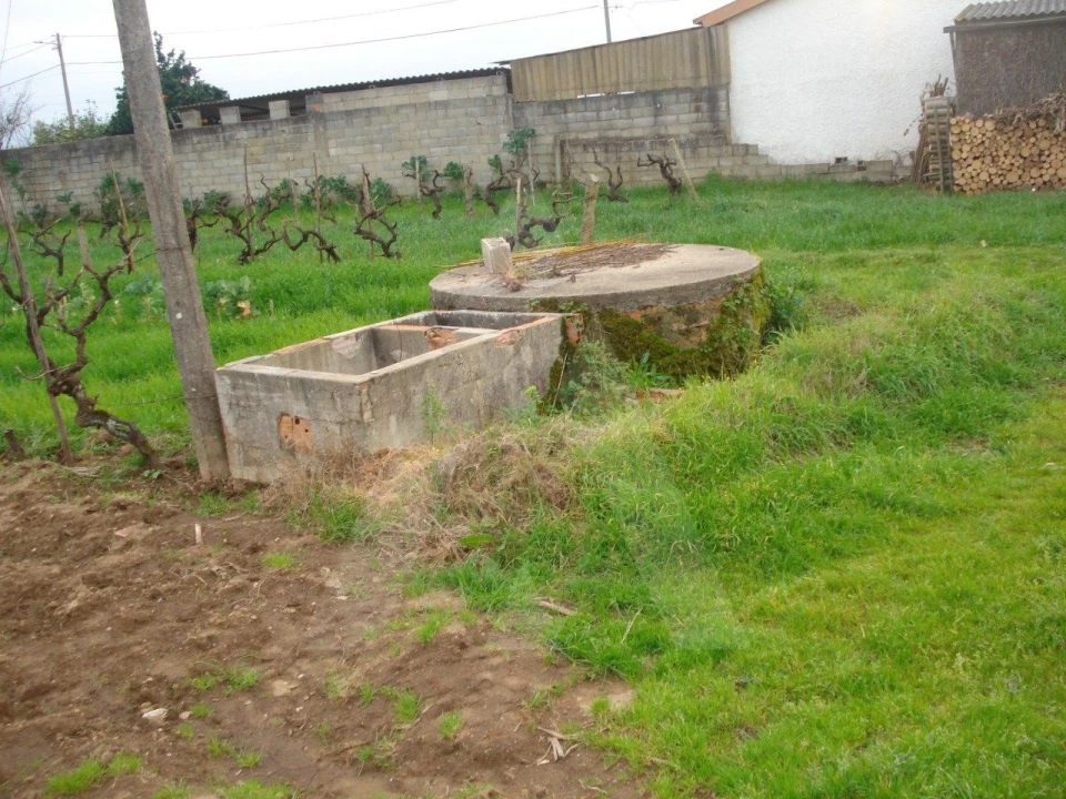 Terreno para Venda em Águeda e Borralha Foto 2