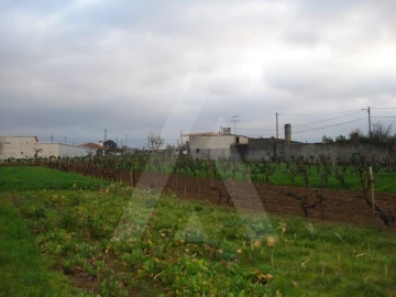 Terreno para Venda em Águeda e Borralha