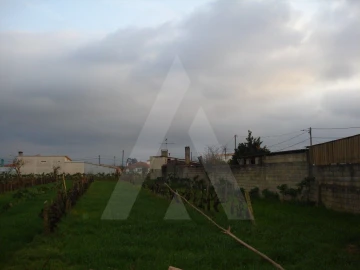 Terreno para Venda em Águeda e Borralha