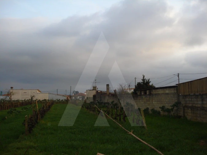 Terreno para Venda em Águeda e Borralha Foto 4