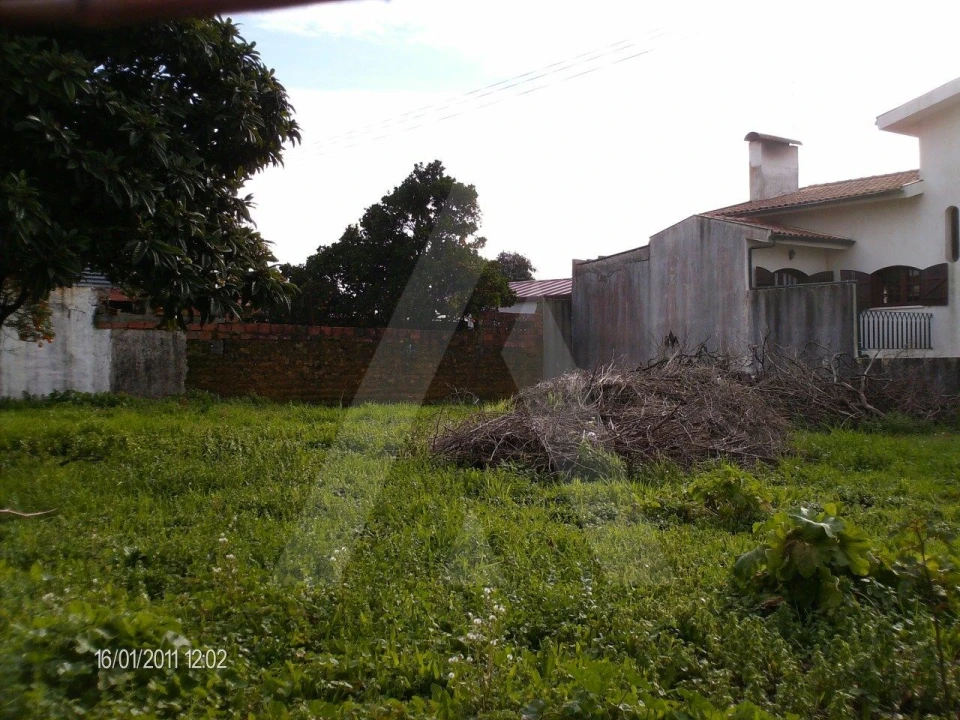 Terreno para Venda em Bustos, Troviscal e Mamarrosa Foto 1