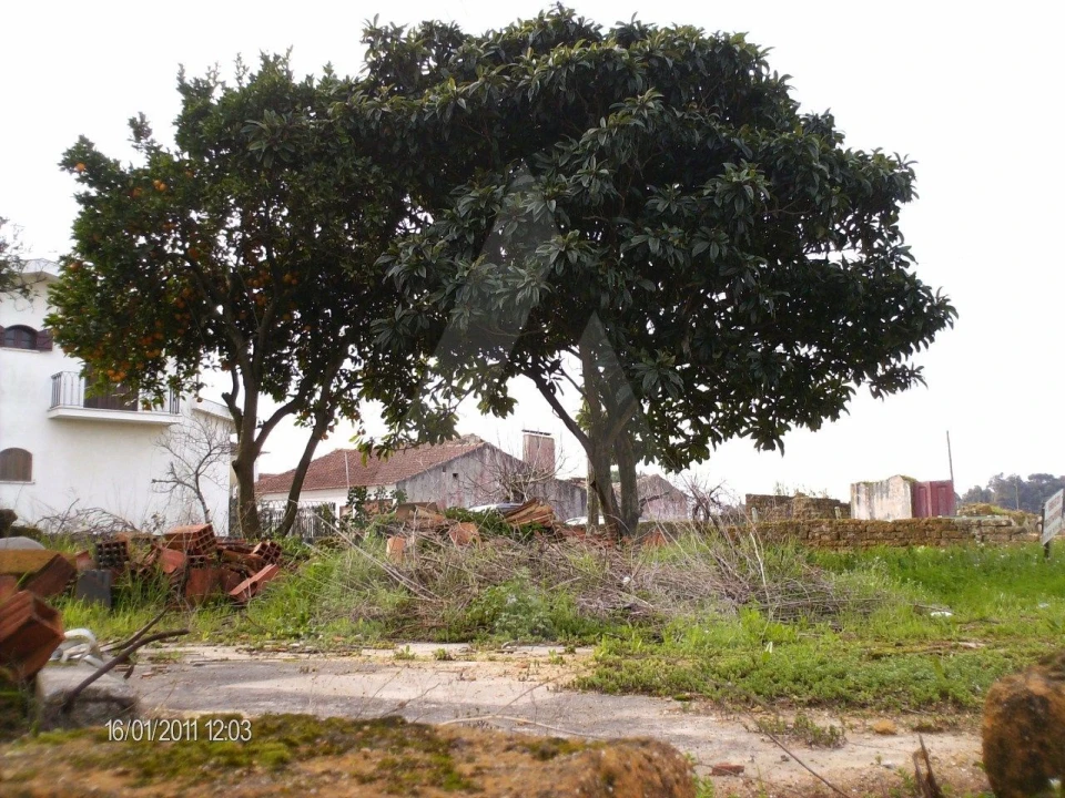 Terreno para Venda em Bustos, Troviscal e Mamarrosa Foto 2