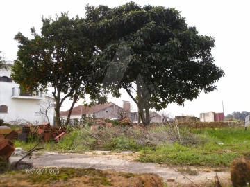Terreno para Venda em Bustos, Troviscal e Mamarrosa