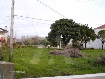 Terreno para Venda em Bustos, Troviscal e Mamarrosa