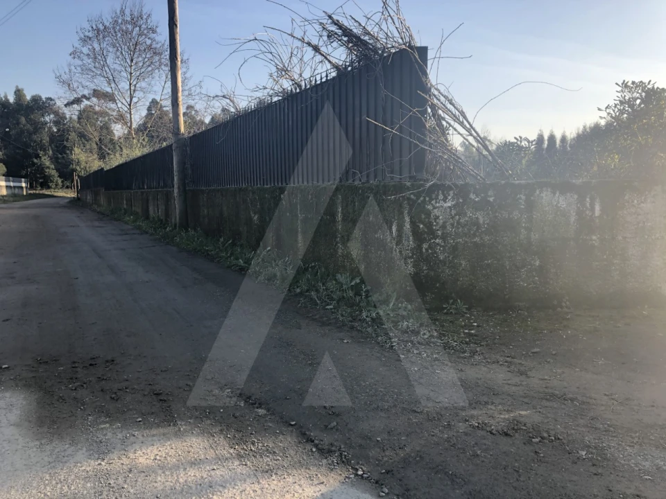 Terreno para Venda em Águeda e Borralha Foto 14