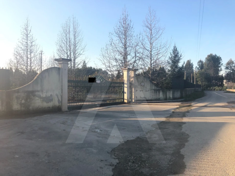 Terreno para Venda em Águeda e Borralha Foto 15