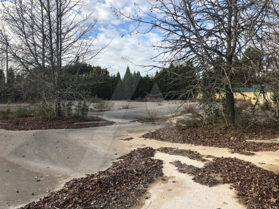 Terreno para Venda em Águeda e Borralha Foto 1