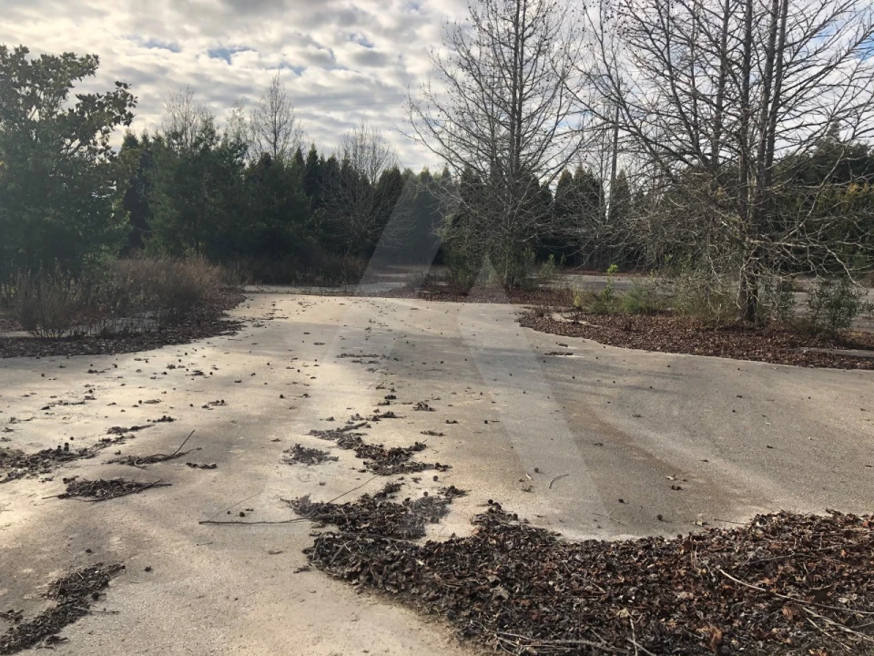 Terreno para Venda em Águeda e Borralha Foto 2