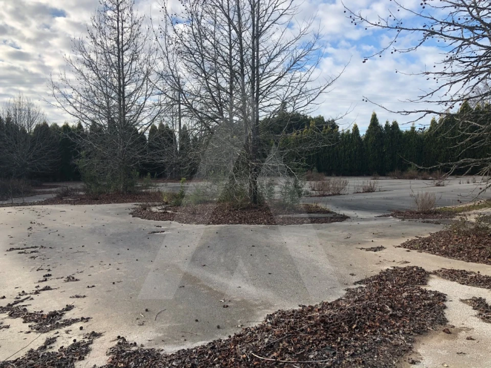 Terreno para Venda em Águeda e Borralha Foto 7