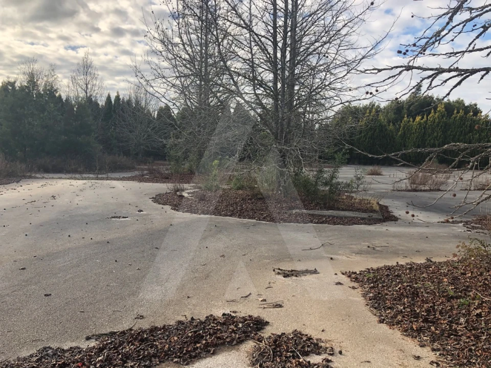 Terreno para Venda em Águeda e Borralha Foto 9