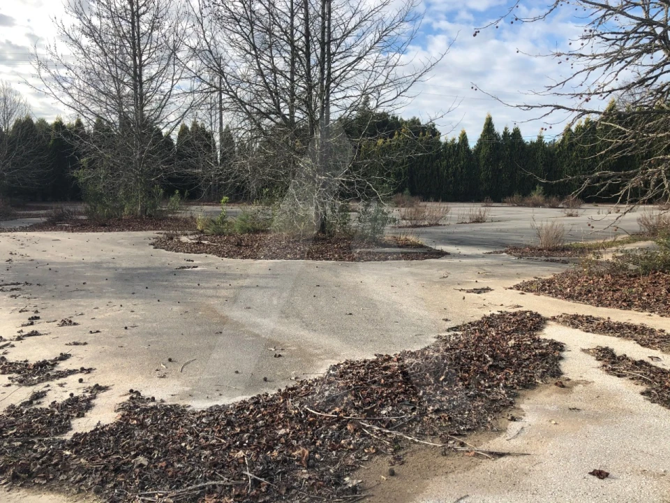 Terreno para Venda em Águeda e Borralha Foto 10