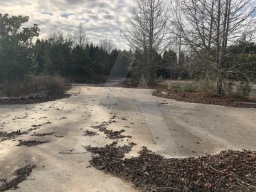 Terreno para Venda em Águeda e Borralha