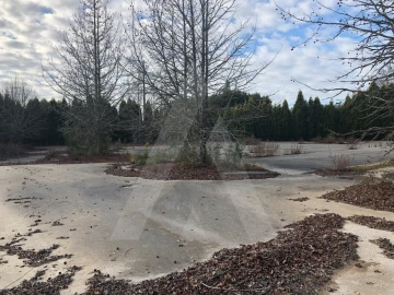 Terreno para Venda em Águeda e Borralha