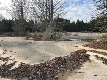 Terreno para Venda em Águeda e Borralha