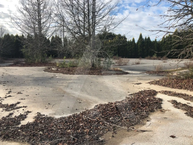 Terreno para Venda em Águeda e Borralha Foto 10