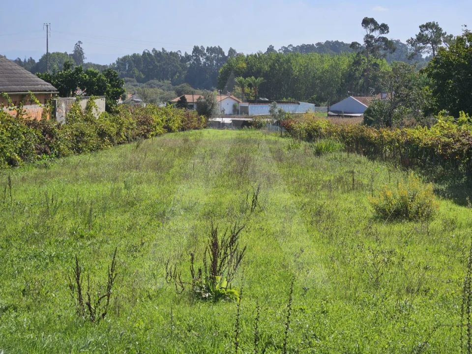 Terreno para Venda em Eixo e Eirol Foto 3