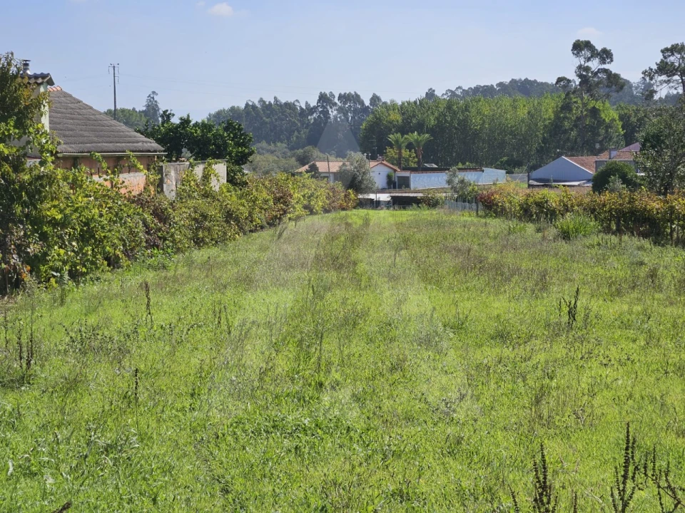 Terreno para Venda em Eixo e Eirol Foto 5