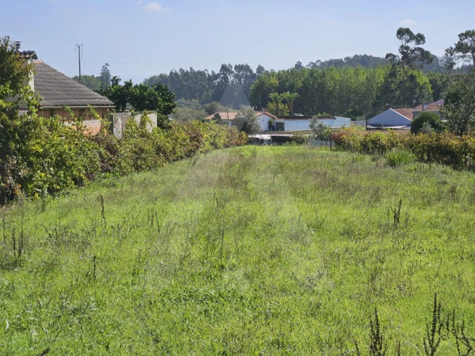Terreno para Venda em Eixo e Eirol Foto 5