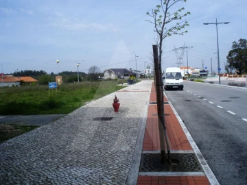 Terreno para Venda em Oliveira do Bairro
