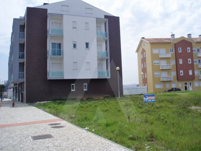 Terreno para Venda em Oliveira do Bairro Foto 6