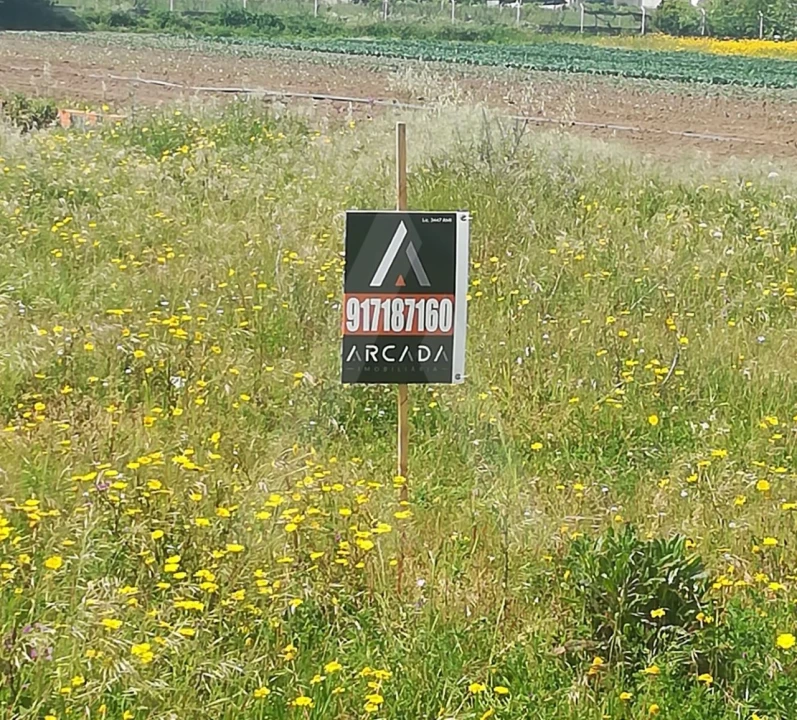 Terreno para Venda em Oliveirinha Foto 1