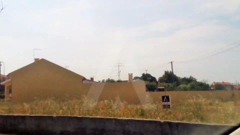 Terreno para Venda em Oliveirinha