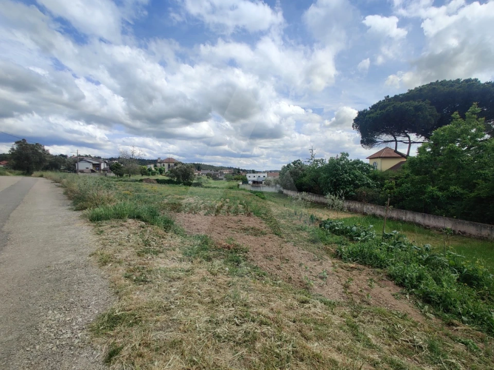 Terreno para Venda em Macinhata do Vouga Foto 1