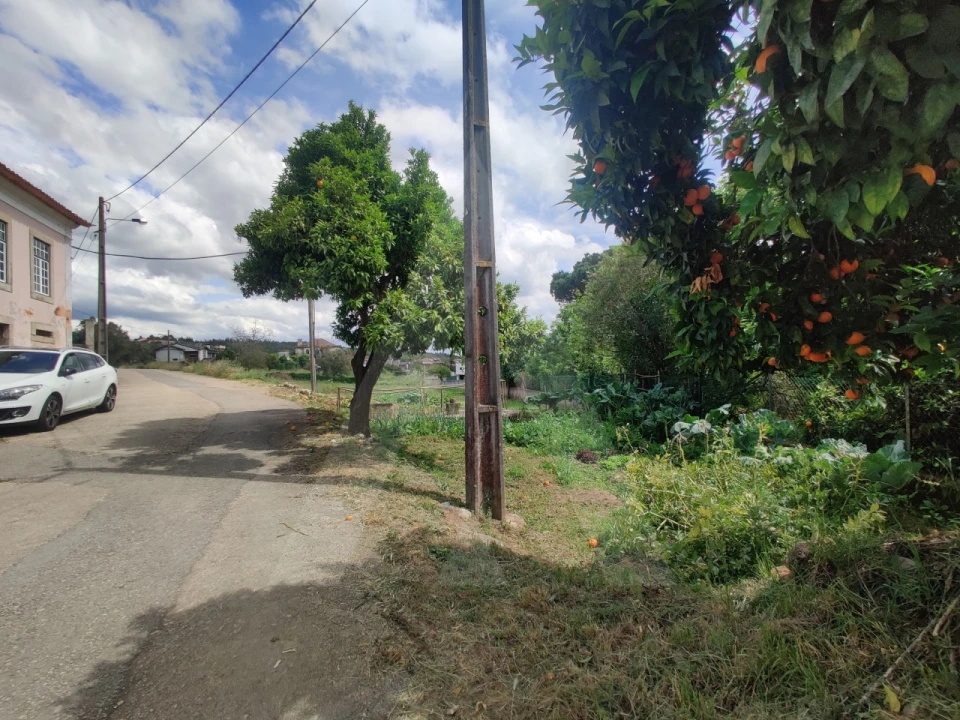 Terreno para Venda em Macinhata do Vouga Foto 2
