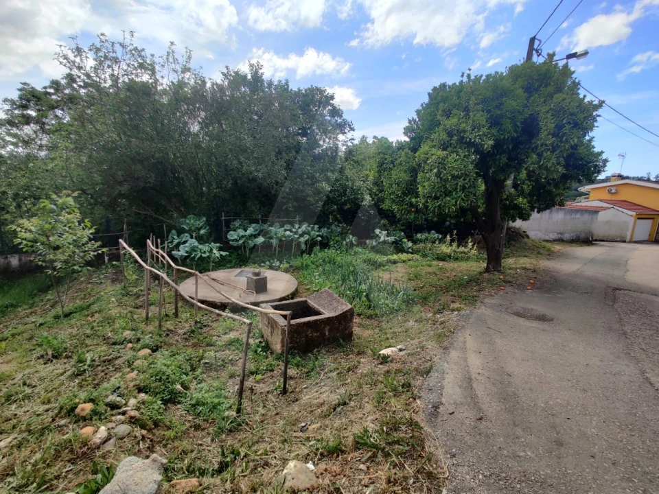 Terreno para Venda em Macinhata do Vouga Foto 3