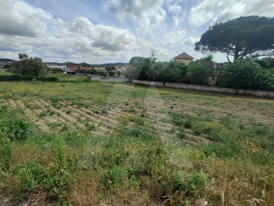Terreno para Venda em Macinhata do Vouga Foto 4
