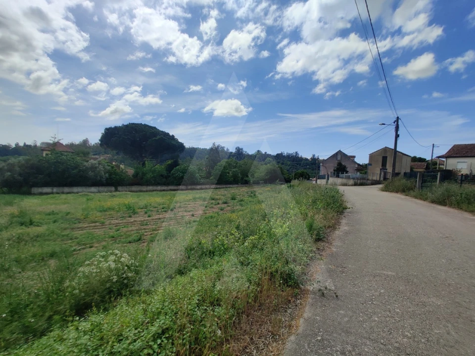 Terreno para Venda em Macinhata do Vouga Foto 5