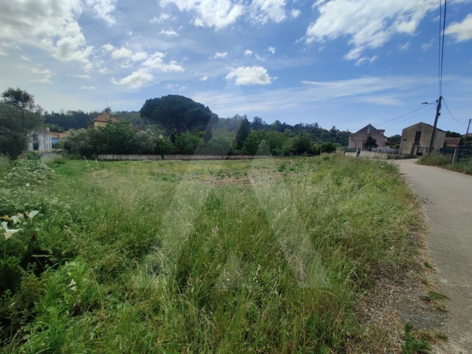 Terreno para Venda em Macinhata do Vouga Foto 6